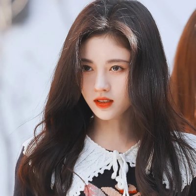 树篱女巫