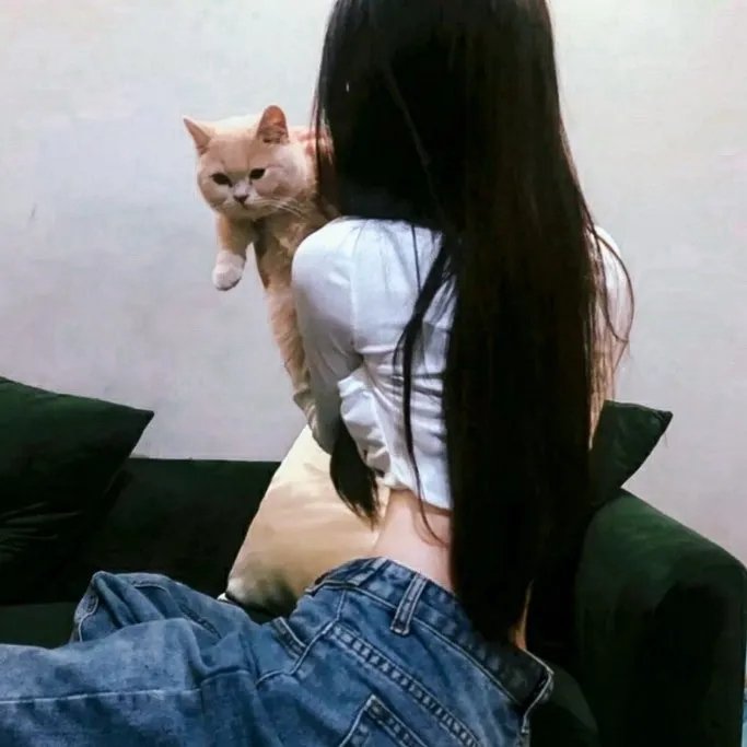 烽火血泪美人恩